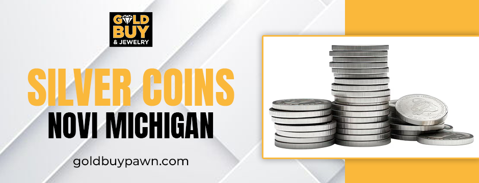 Silver coins Novi Michigan