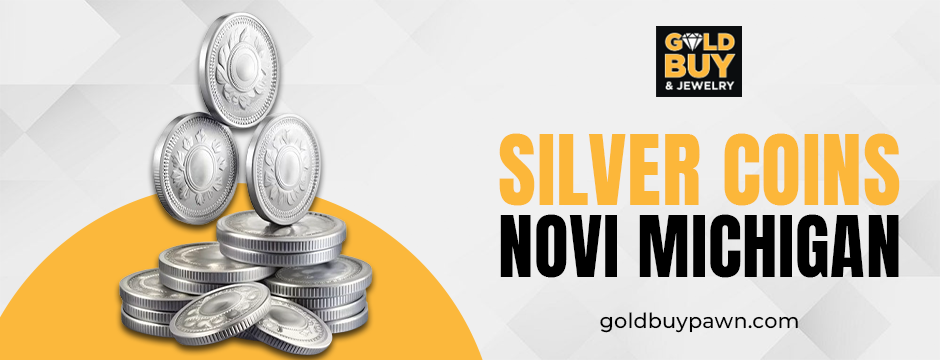 Silver coins Novi Michigan