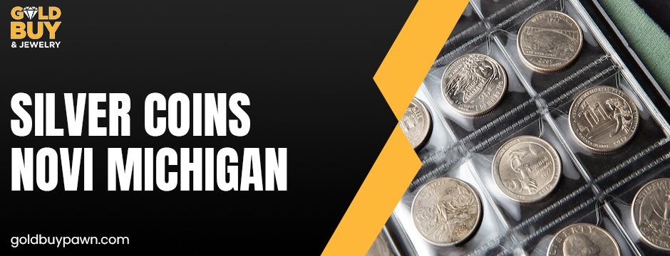 Silver coins Novi Michigan