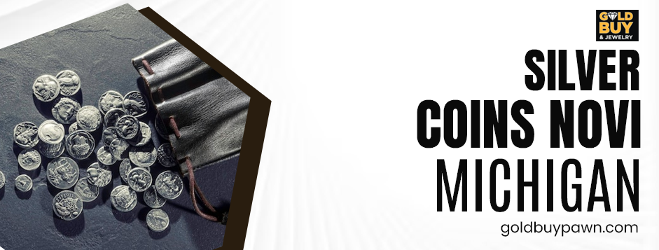 Silver coins Novi Michigan