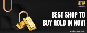 best shop to buy gold in Novi